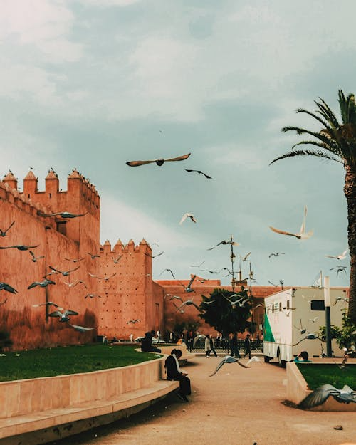 Marrakech Walls